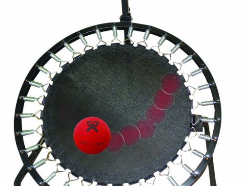 Adjustable Ball Rebounder, Circular