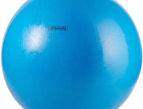 Giant Exercise and Play Ball - 6 Feet - Blue